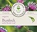 Traditional Medicinals Organic Burdock with Nettle Herbal Leaf Tea, 16 Tea Bags
