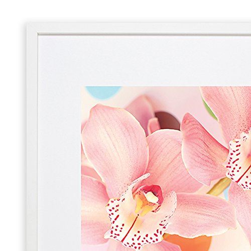 Snap White 16-inch-20-inch Wall Frame Matted to 11-inch-by-14-inch