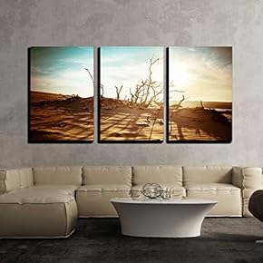 3 Piece Canvas Wall Art - Desert Landscape with Dead Plants in Sand Dunes Under Sunny Sky - Modern Home Art Stretched and Framed Ready to Hang - 16"x24"x3 Panels