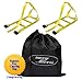 Tow Dolly Straps with Flat Hooks & Carrying Bag (2 Pack) - Essential Vehicle Tow Dolly Strap Harness (10.000 lbs Working Capacity) - Universal Tow Dolly Straps System & Flat Hook Design