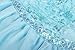 ReliBeauty Girls Sequin Princess Costume Long Sleeve Dress up, Light Blue, 2T-3T(100)