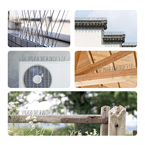 Offo Bird Spikes With Stainless Steel Base Durable Bird Repellent Spikes Arrow Pigeon Spikes Fence Kit For Deterring Small Bird Crows And Woodpeckers Covers 10 Feet 3m Pricepulse