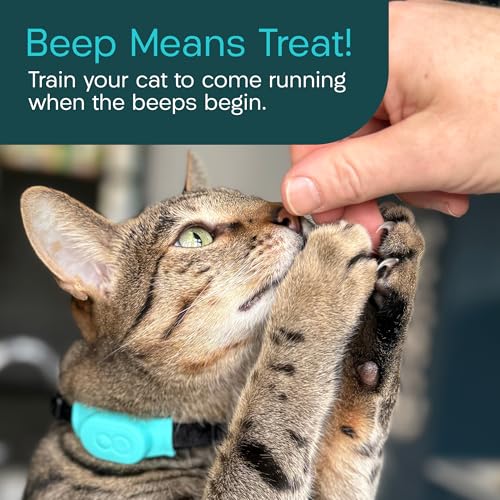 Tabcat V2 Cat & Kitten Tracker - No Subscription | 2 Lightweight Homing Tags, Cases & Tracking Handset | RF Technology, More Accurate than GPS | Track 2 Cats Indoors & Outdoors to 2.5 cm & 150 m Range