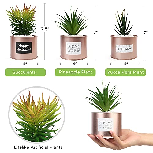 LotFancy Faux Succulents Plants for Desk Decor, Office Artificial Potted Fake Plants for Bedroom Kitchen, 3 Pcs Plastic Artificial Succulents with Metallic Rose Gold Jars & Decoration Accessories