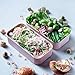 monbento - MB Original Litchi pink bento box - 2 tier leakproof lunch box for work/school lunch packing and meal prep - BPA free - Food grade safe food containers