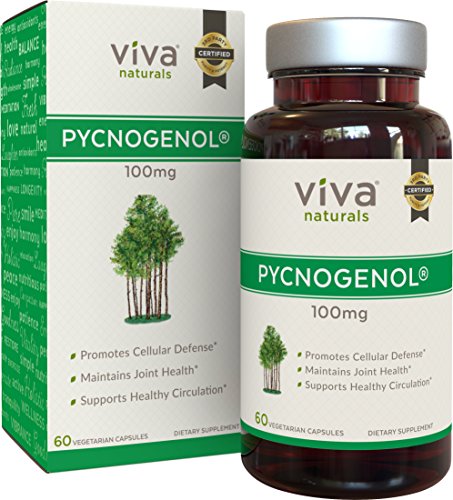 Pycnogenol 100mg from French Maritime Pine Bark Extract - Great for Healthy Circulation and Female Hormone Support, Plus Joint Support, Immune Function and Antioxidant Benefits; 60 Veggie Capsules.