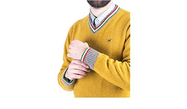 Bandera roja blanca verde y amarilla | Las mejores banderas.