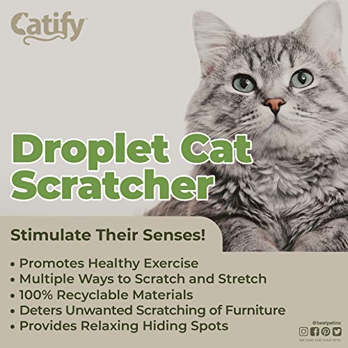 Catify by Best Pet Supplies, Inc, Inc, Inc, Droplet Cardboard Cat