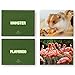 50 Animal Flash Cards - Realistic Photo Cards - Fun Vocabulary Builder for Autisim, Speech Therapy, ESL, Occupational Therapy - Montessori Educational Games for Preschool Kids Learning Activity