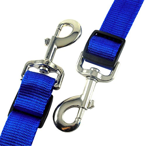 BININBOX LED Horse Breastplate Collar Equestrian Riding Bridle Halter Safety Light Horses Neck Belt Equipment Horsing Accessory Horseback (Blue)