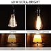 ST64 Vintage Edison Light Bulbs Dimmable 60W/110V E26/E27 Base Replacement Bulbs for Wall Sconces Lights, Pendant Light, Amber Warm & Squirrel Cage Filament Antique Light Bulb for Home Decor (8 Pack)