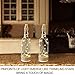 Bright Zeal /Pack of 2/ LED Bottle Lights with Cork and String Lights with Timer (Clear Glass Bottles, Jute Twine Wrapped) - Wine Bottles Decorative Glass Bottles for Kitchen Light Home Decorations