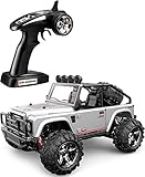 TOZO C1153 RC CAR Battleax High Speed 30km/h 4x4 Fast Race Cars 1:22 RC SCALE RTR Racing 4WD ELECTRIC POWER BUGGY W/2.4G Radio Remote control Off Road Powersport gray