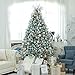 Sea Team Shatterproof Clear Plastic Christmas Ball Ornaments Decorative Xmas Balls Baubles Set with Stuffed Delicate Decorations (70mm/2.76 inch 24-Pack, Babyblue)