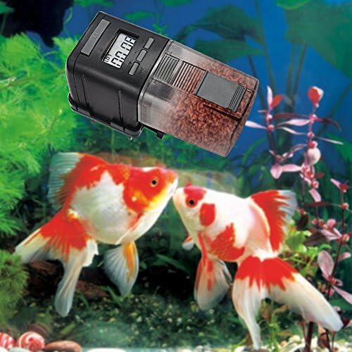Amazon Com Mylivell Fish Feeder Automatic Battery Operated Fish