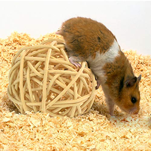 5 Wobe+Chinchilla+Hamster+Dumbells+Exercise
