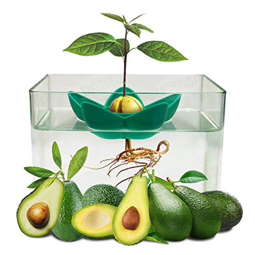 HENMI Avocado Planting Seed Germinator Bowl Avocado Tree Growing Kit Garden Gifts for Indoor Balcony Planting/Kitchen Garden Seed Starter Gift/Practical Gardening Gifts for Women