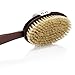 Deluxe Natural Dry Body Brush for Overall Skin Wellness. Restore Youthful Glow. Removable Long Handle, Storage Bag & FREE B.O.N Nourishing Skin Oil