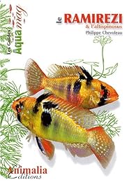 Le  ramirezi et l'altispinosus