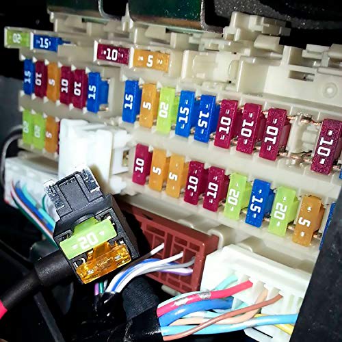 6 Blade+Fuses+Assortment+Mini+Truck