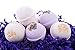 Bath Bomb Gift Set w/ Lavender, Coconut Milk & Lavender and Lavender Chamomile Scented Fizzies Bath Balls | Set of 6, Handmade in USA from Tatum & Shea (Lavender)