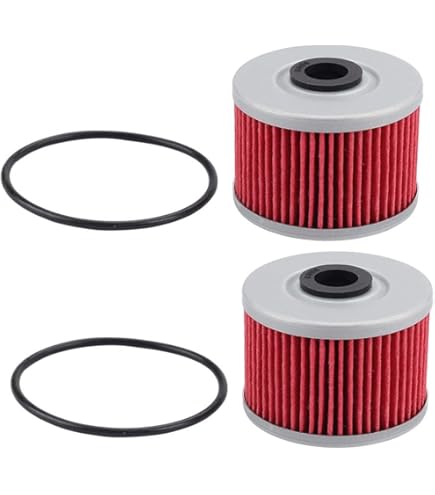 Amazon.com: Oil Filter Compatible with/Replacement For