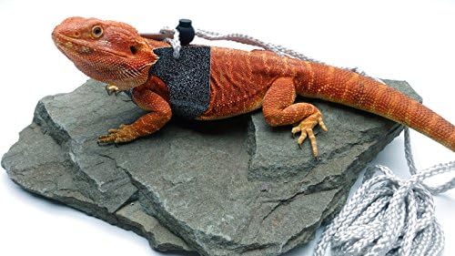 Ogle Lizard Leash, Limited Edition Sparkly Charcoal