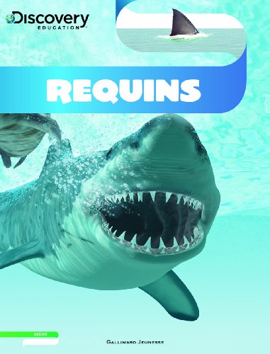 Requins