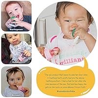 ashtonbee baby fruit feeder