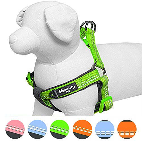 image for Blueberry Pet Soft & Comfy 3M Reflective Step-in Pastel Color Padded D
