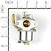 Briggs & Stratton 798917 Carburetor Replaces 794587/791953/791292