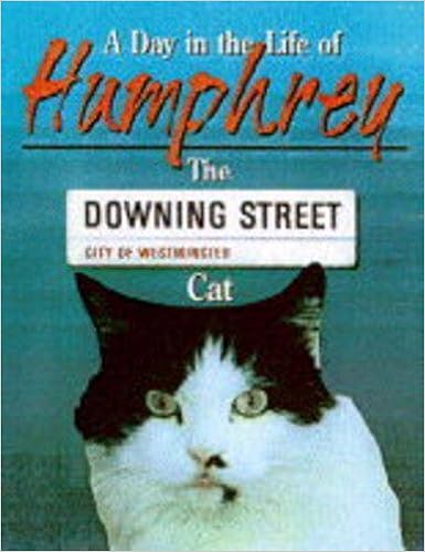 australian cattle dog poodle mix for sale