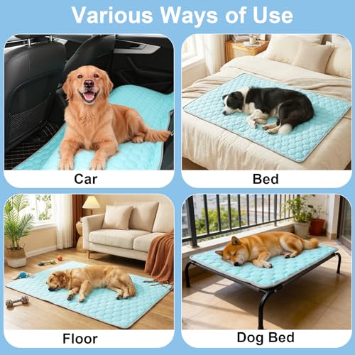 Vivifying Couverture rafraîchissante pour Chien 152 x 101 cm, Tapis réversible en Soie glacée avec Dos en Peluche Douce, Couverture d’été pour canapé, lit, Cage, Sol et Voyage (Bleu/Gris)