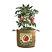 PANACEA PRODUCTS 84386  Grow Bag tomatoes , 20 gallonthumb 4