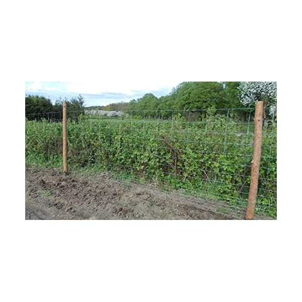 rg-vertrieb Wildzaun 50m Forstzaun Weidezaun Drahtzaun Knotengeflecht 180cm 3 Größen (180/16/15) – Bild 6