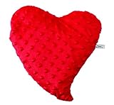 Bucky Soothing, Comfortable Hot/Cold Therapy Buckwheat Seed Filled Heartwarmer, Red - Large