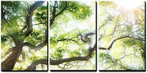 Tree wall art landscape Printing and printmaking Collage wall canvas art wooden Framing Painting big tree with sun light Photography for living room bedroom room office decor
