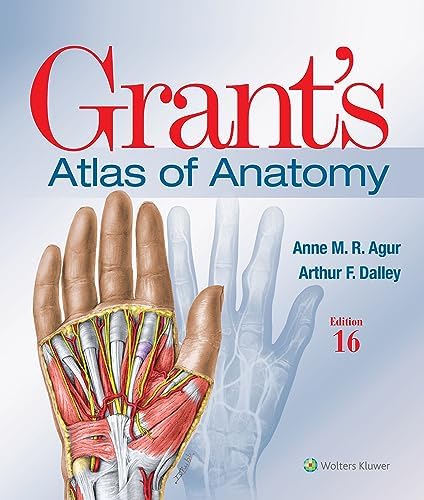 Amazon.com: Photographic Atlas of Anatomy eBook : Rohen, Johannes