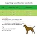 ColPet Dog Leash Harness Adjustable & Heavy Duty Durable Neoprene Dog Leash Collar with Elastic Leash for Training Walking Running, Best for Small Medium Dog, Small, Pink