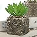 MyGift Set of 3 Decorative Green Realistic Mini Succulent Plants w/Brown Stone Pots
