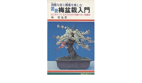 趣味の園芸ガイド 図解 梅盆栽入門 Amazon Com Books