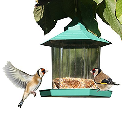 Gazebo Squirrel Proof Bird Feeder By PetsN'all - Transparent, Hanging Bird Feeder in Hexagon Shape, Handles Up To 2.25 Lbs