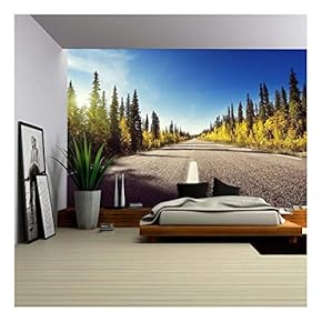 Road in Autumn Forest, Sweden - Removable Wall Mural | Self-Adhesive Large Wallpaper - 66x96 inches