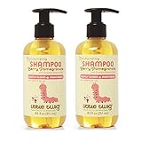 Little Twig Berry Pomegranate Shampoo with Lemon and Chamomile, 8.5 fl. oz. (Pack of 2)