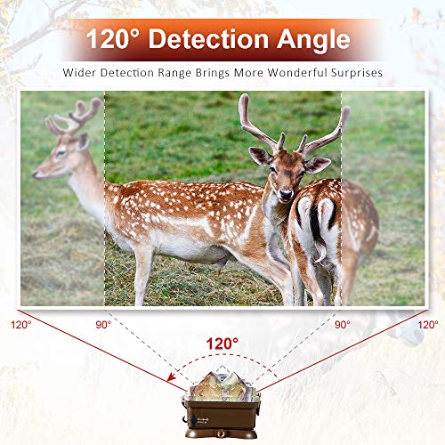 4 Crenova+Included+Waterproof+Activated+Observation