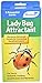 Monterey LG8510 Lady Bug Lure, Pack of 3