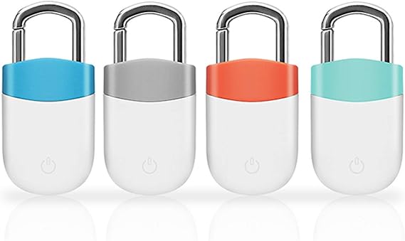 lost luggage key