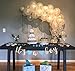 FunPa 100PCS Latex Balloon White Round Balloon Pearlized Party Balloon Decor Balloon for Wedding Birthday Party Baby Shower Decoration