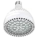 Bonbo LED Pool Light Bulb 120V 65W LED Swimming Pool Light Bulb 6000K Daylight White, Replaces up to 500-800W Traditional Bulb for Most Pentair Hayward Light Fixture