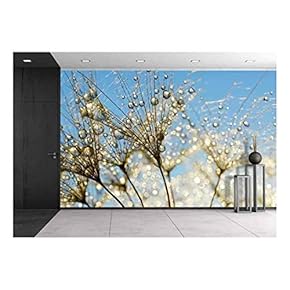 Dewy Dandelion Flower Close Up - Removable Wall Mural | Self-Adhesive Large Wallpaper - 66x96 inches